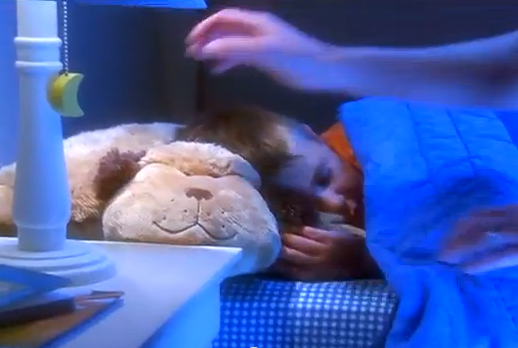 Gosedjur,  Pillow Pets